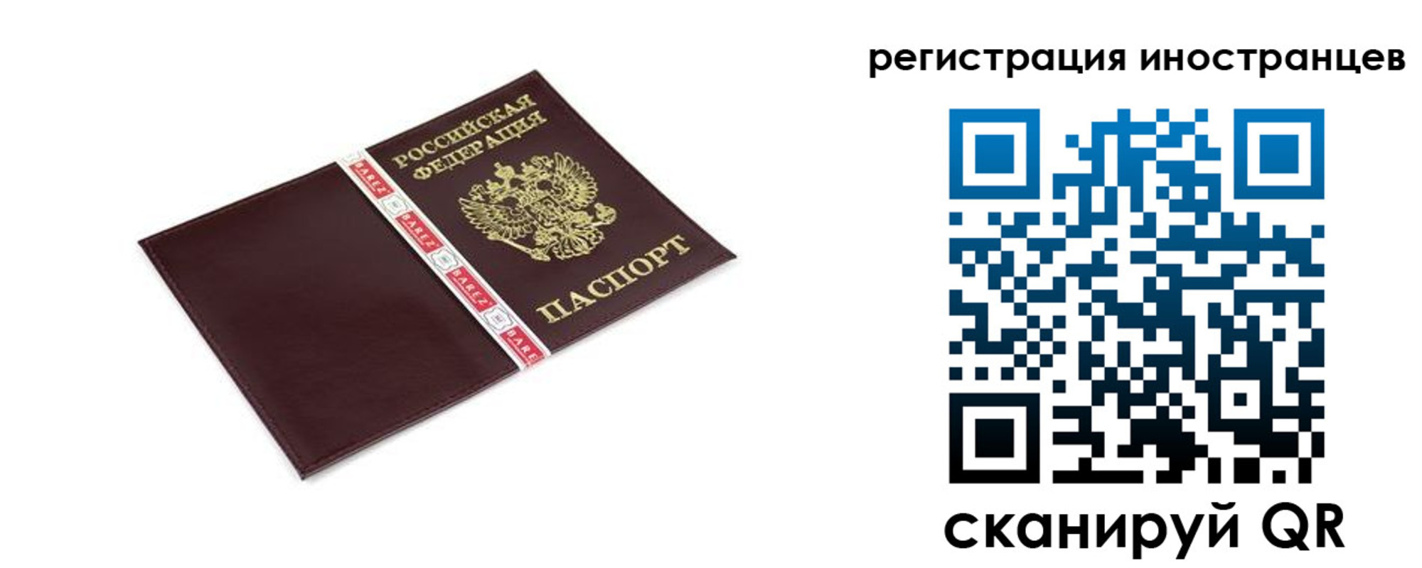 прописка иностранных граждан в Курской области